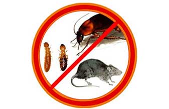 Sampex Controle de Pragas - Foto 1