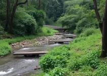 mulher esquartejada dentro de mala em córrego de SP