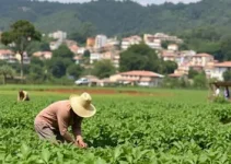 programa de apoio a produtores rurais