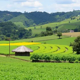 turismo rural