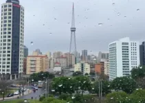 frio em São Paulo