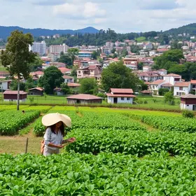 agricultura familiar