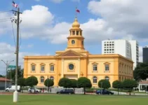 terceirização de escolas municipais