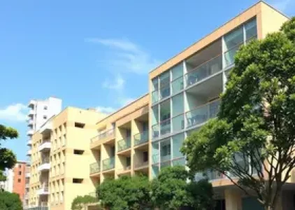 Últimas noticias de Parelheiros
