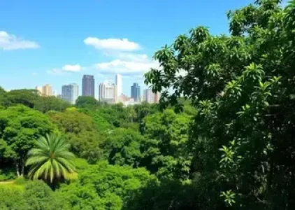 Últimas noticias de Parelheiros