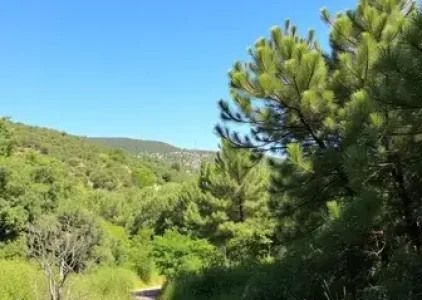 Últimas noticias de Parelheiros