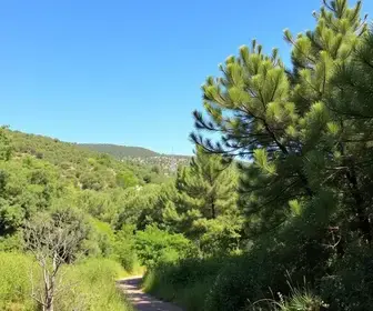 Parque Natural Municipal Itaim