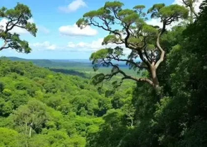 Últimas noticias de Parelheiros