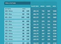 381ª zona eleitoral